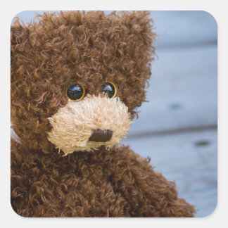 Curly Brown Teddy Bear Square Sticker