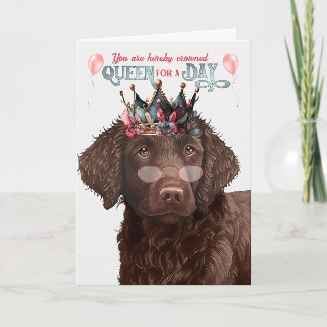 Curly Coated Retreiver Queen Day Funny Birthday Card (Front)