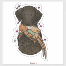 Curly Coated Retriever Car Decal