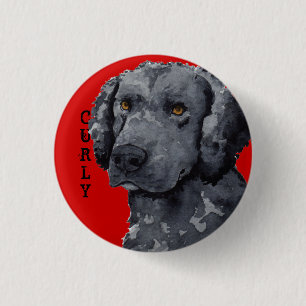 Curly-Coated Retriever Colour Block 1 Inch Round Button