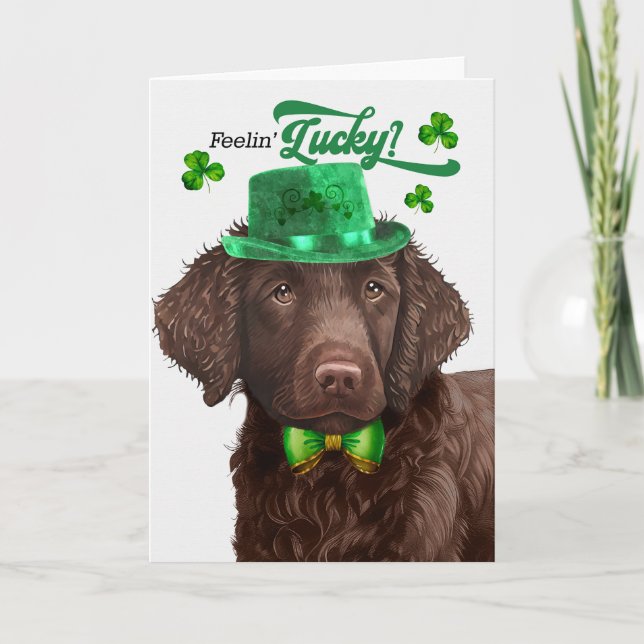 Curly Coated Retriever Dog Lucky St Patrick's Day Holiday Card (Front)