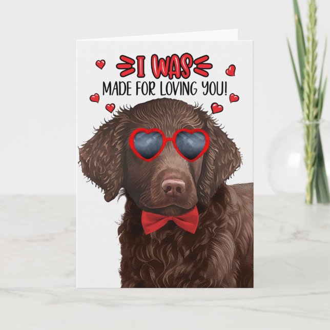 Curly Coated Retriever Dog Made for Love Valentine Holiday Card (Front)