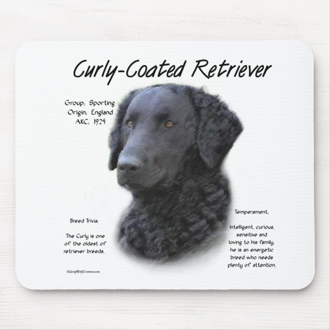 Curly-Coated Retriever History Design Mouse Pad (Front)