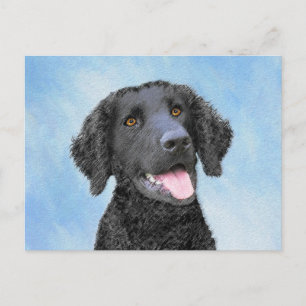 Curly-Coated Retriever Painting - Original Dog Art Postcard