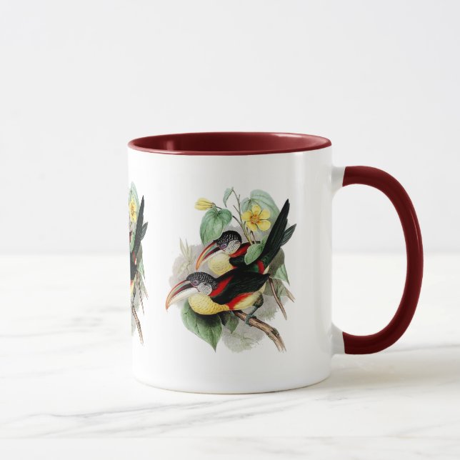 Curly-crested Aracari Mug (Right)