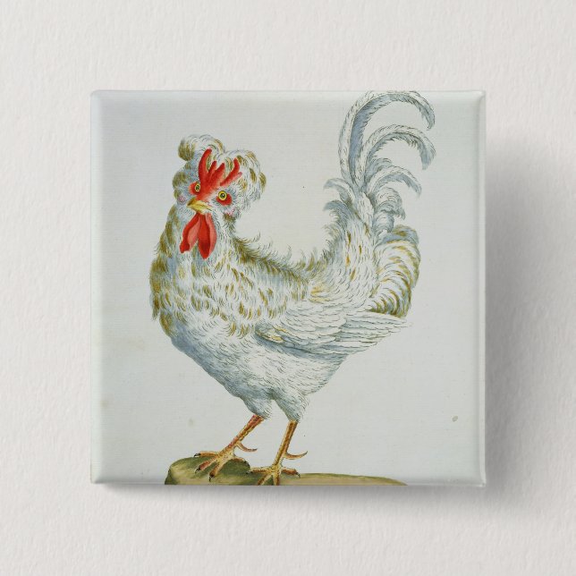Curly-Haired Cockerel, c.1767-76 (hand coloured en 2 Inch Square Button (Front)