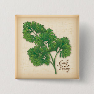 Curly Parsley Herb 2 Inch Square Button