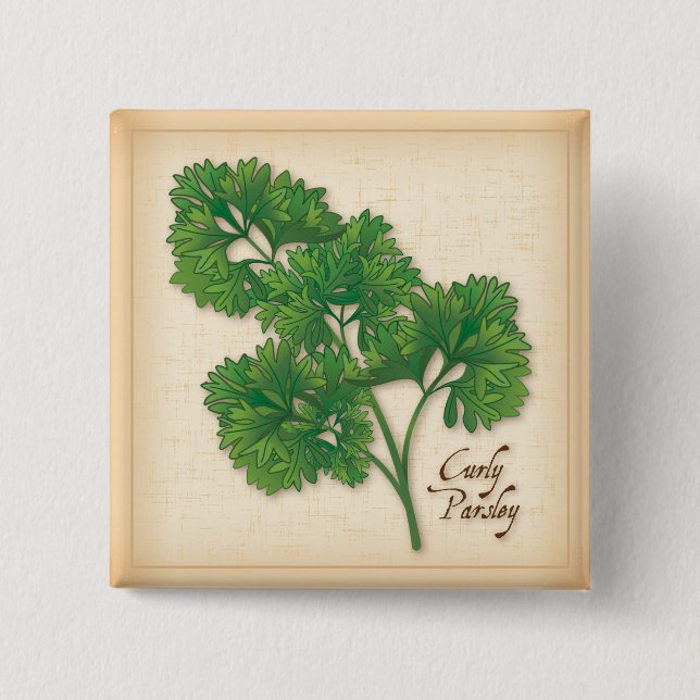 Curly Parsley Herb 2 Inch Square Button (Front)