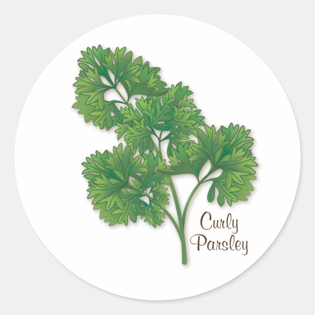 Curly Parsley Round Sticker (Front)