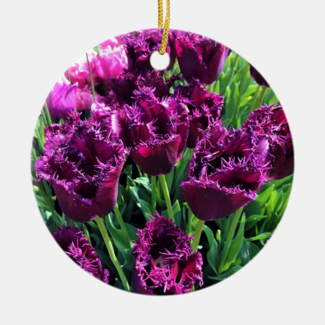 Curly Sue Purple Tulips, Oregon Ceramic Ornament (Front)