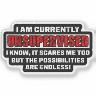 Currently Unsupervised Funny Sarcastic Quote Gift