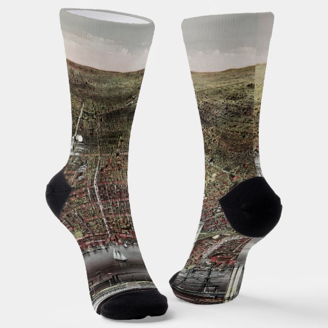 Currier and Ives print of Brooklyn, 1886 Socks (Angled)