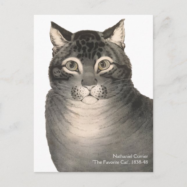 Currier & Ives Cat Cute Victorian Fine Art Postcard (Front)