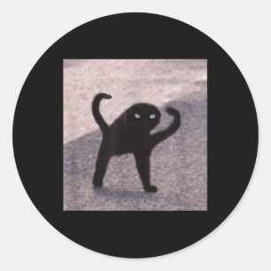 Cursed Cat Memes Cursed Cat Angry As Good Meme  Classic Round Sticker
