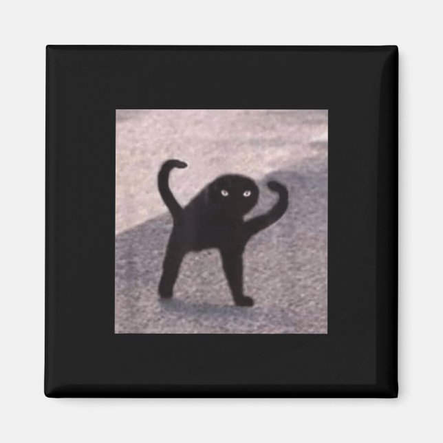 Cursed Cat Memes Cursed Cat Angry As Good Meme  Magnet (Front)