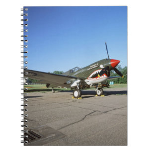 Curtiss P-40 Warhawk, at Minnesota CAF Air Show Notebook