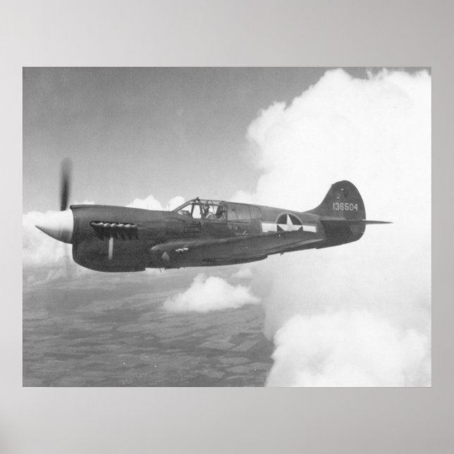 Curtiss P-40E Poster (Front)