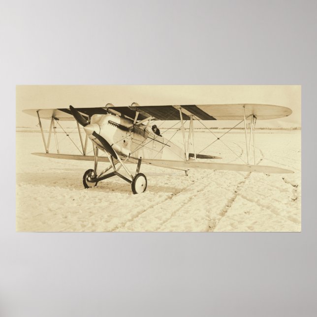 Curtiss Pursuit Plane Poster (Front)