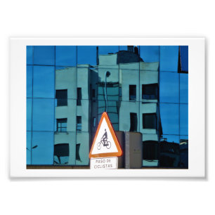 'Curve Reflection, Lion Photo Print