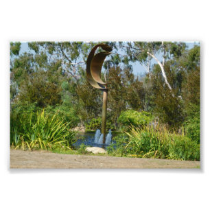 Curving Water Photo Print