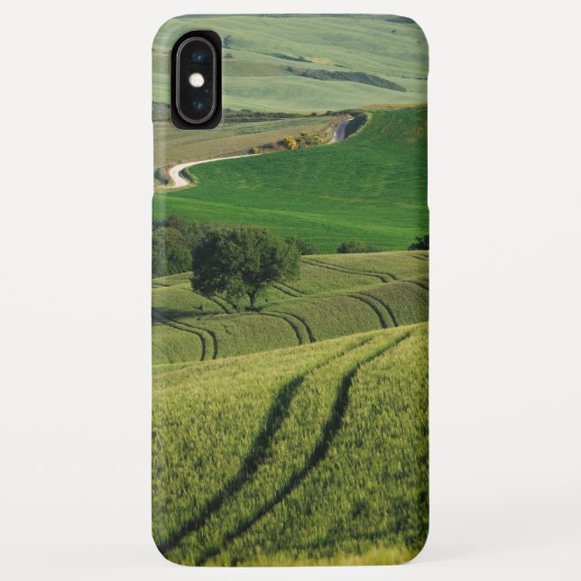 Curvy lines in green Tuscany iPhone case (Back)