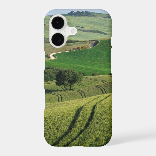 Curvy lines in green Tuscany iPhone case (Back)