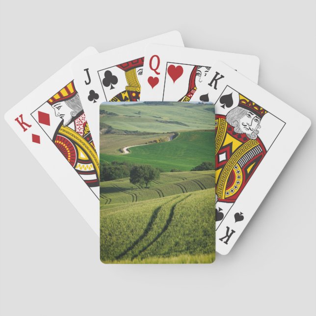 Curvy lines in green Tuscany poker deck (Back)