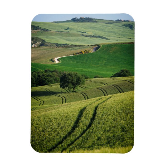 Curvy lines in green Tuscany vertical magnet (Vertical)