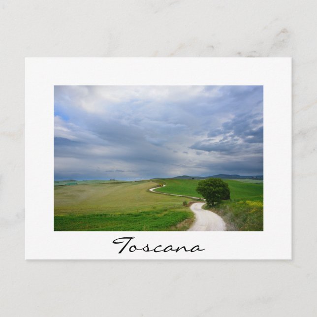 Curvy road towards a destination Toscana postcard (Front)