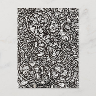 Curvy Twisty Cartoon Weird Faces Design Postcard