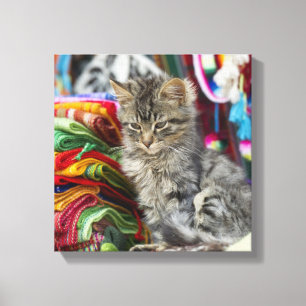 cusco peru canvas print