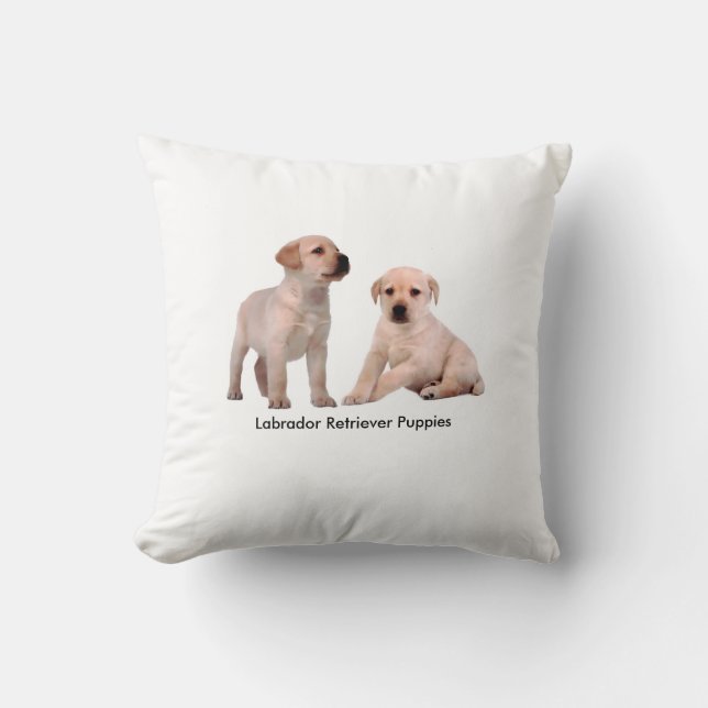 Cushion (Front)