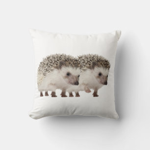 Cushion