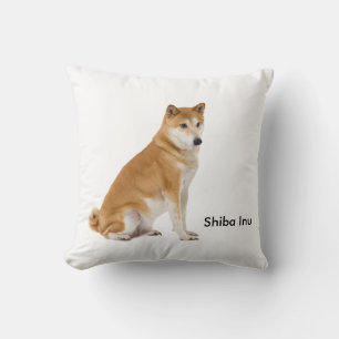 Cushion