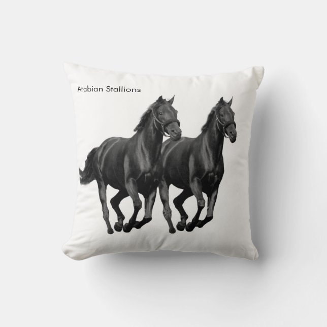 Cushion (Front)