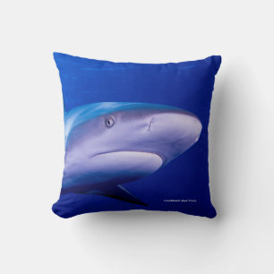Cushion