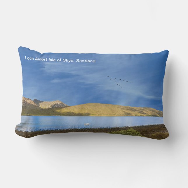 Cushion (Front)