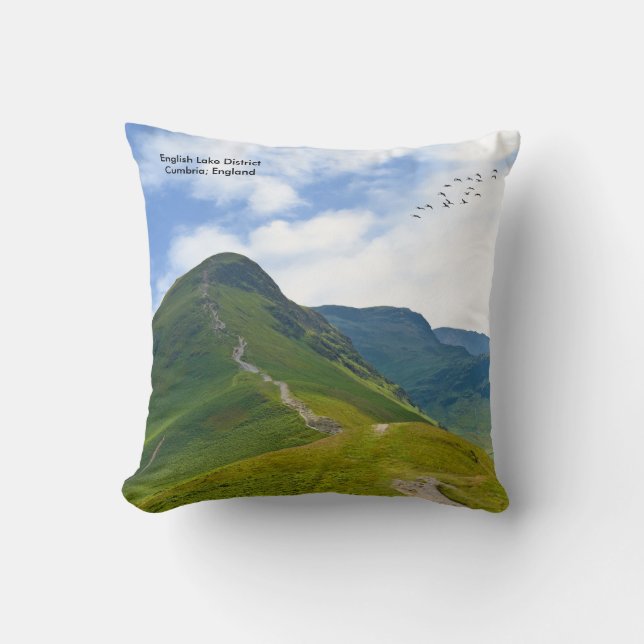 Cushion (Front)
