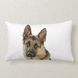 Cushion German shepherd