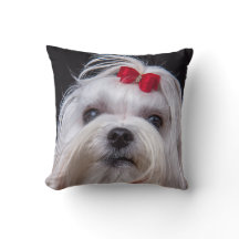 Cushion of maltese dog small white toy dog
