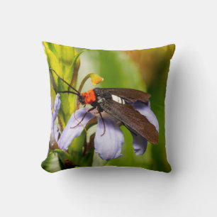 Cushion with moth.