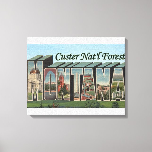 Custer Nat'l Forest, Montana Canvas Print (Front)