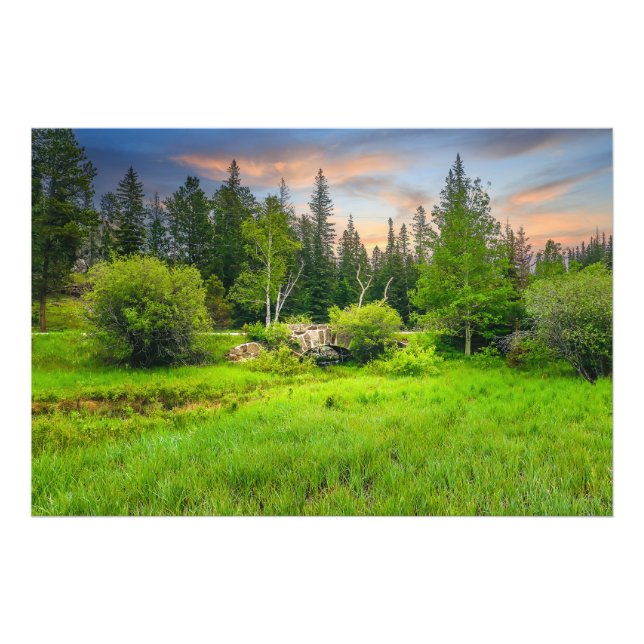 Custer State Park Legion Lake Area South Dakota Photo Print (Front)