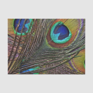 Custom 10lb Tissue Paper, PEACOCK FEATHER Paper