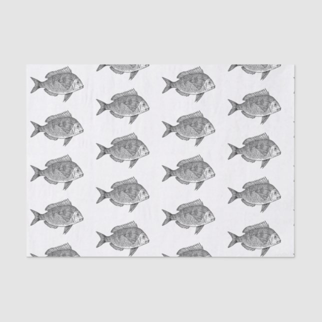 Custom 10lb Tissue Paper, White FISH Paper (Front)