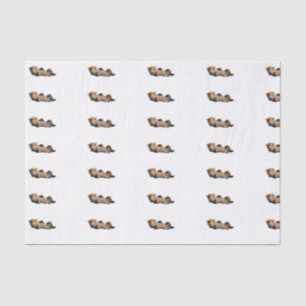 Custom 10lb Tissue Paper, White with bear cub Paper