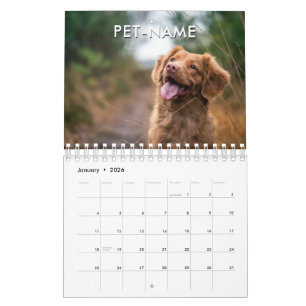 Custom 14 Photo Pet Dog 14 Name Picture Template Calendar