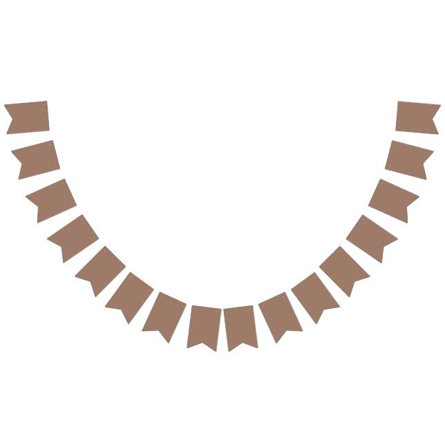 Custom 2025 Colour Bunting Banner for Events (All)