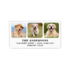 Custom 3 Photo Personalized Return Address