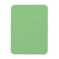 Custom 3x4 Flexible Photo Magnet Display